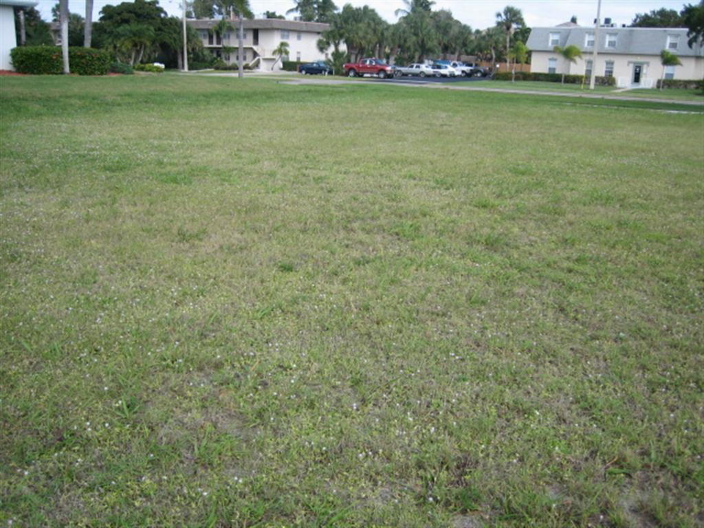 462 Bald Eagle Drive - Photo 1