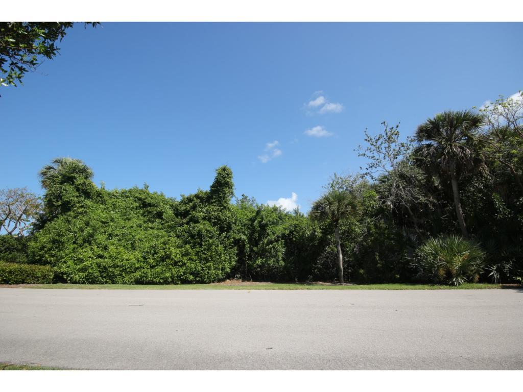 366 Live Oak Lane - Photo 1