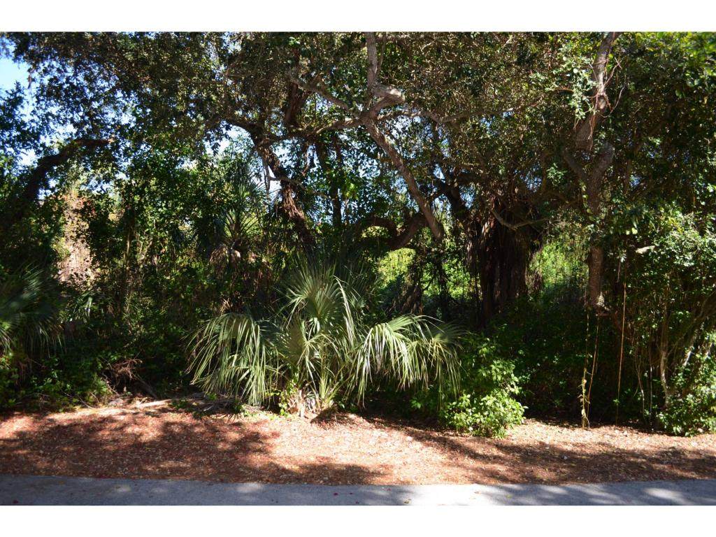 376 Morning Glory Lane - Photo 1