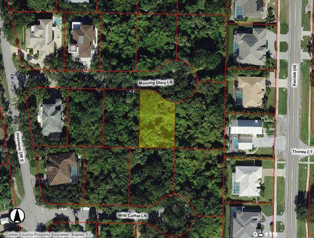 383 Morning Glory Lane - Photo 1
