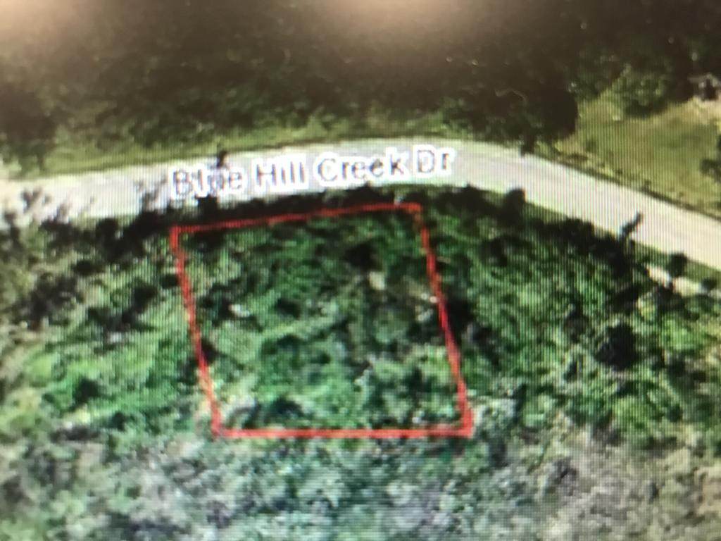 1254 Blue Hill Creek Drive - Photo 1