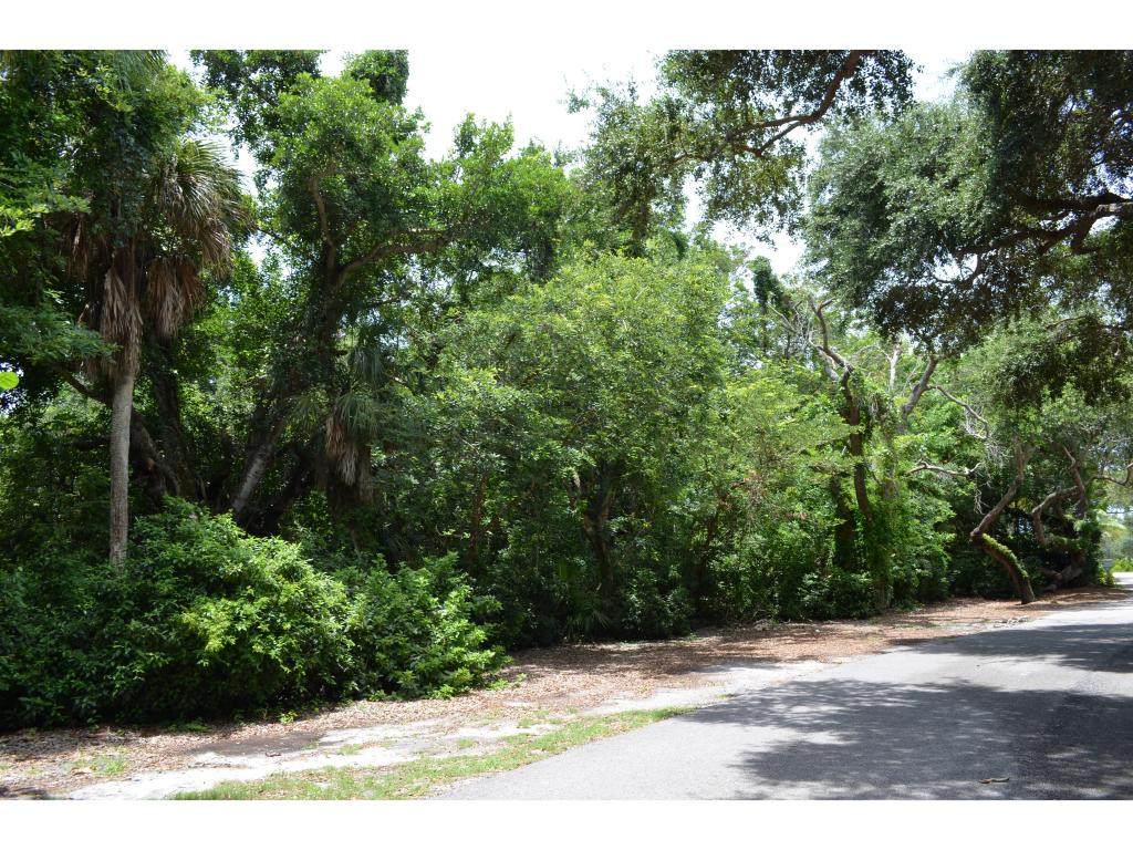 377 Morning Glory Lane - Photo 1