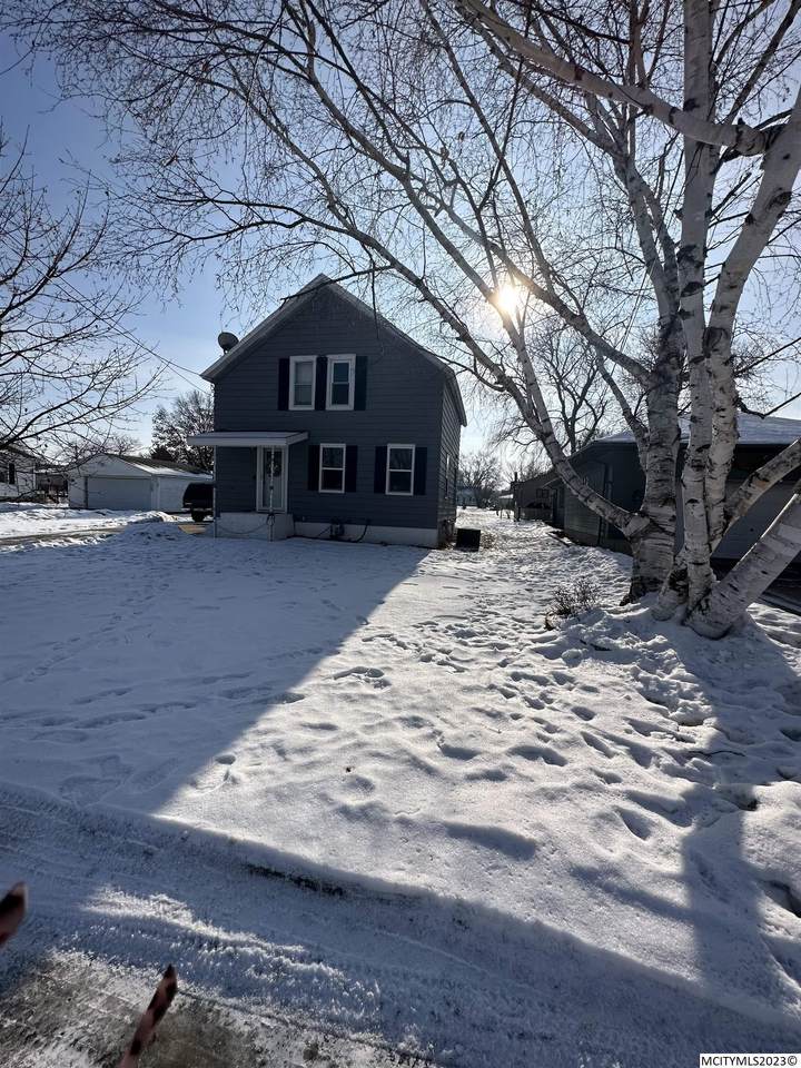 1029 2nd Ne - Photo 1