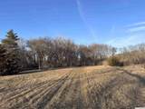 1211 Angelia Pl - Photo 2