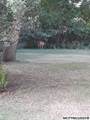 1408 2nd Ave S - Photo 9