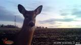  280th St - Photo 13