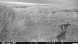  280th St - Photo 9