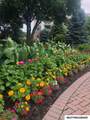 809 7th Ave N #212 - Photo 42