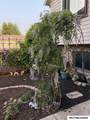 1110 15th Se - Photo 44