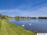 11642 Indigo Ave - Photo 40