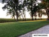 20502 Thrush Ave - Photo 5