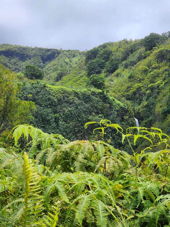https://bt-photos.global.ssl.fastly.net/maui/1280_boomver_1_377652-2.jpg