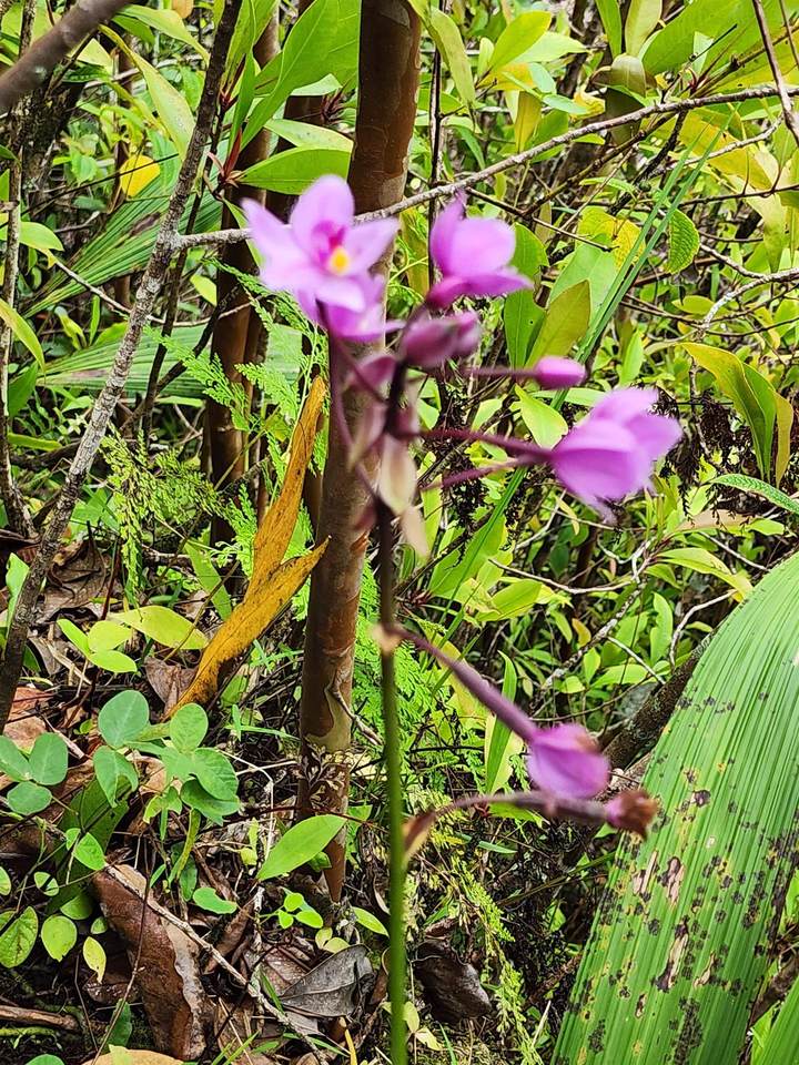 https://bt-photos.global.ssl.fastly.net/maui/1280_boomver_1_377652-2.jpg