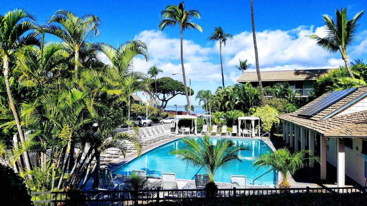 2495 Kihei Rd - Photo 1