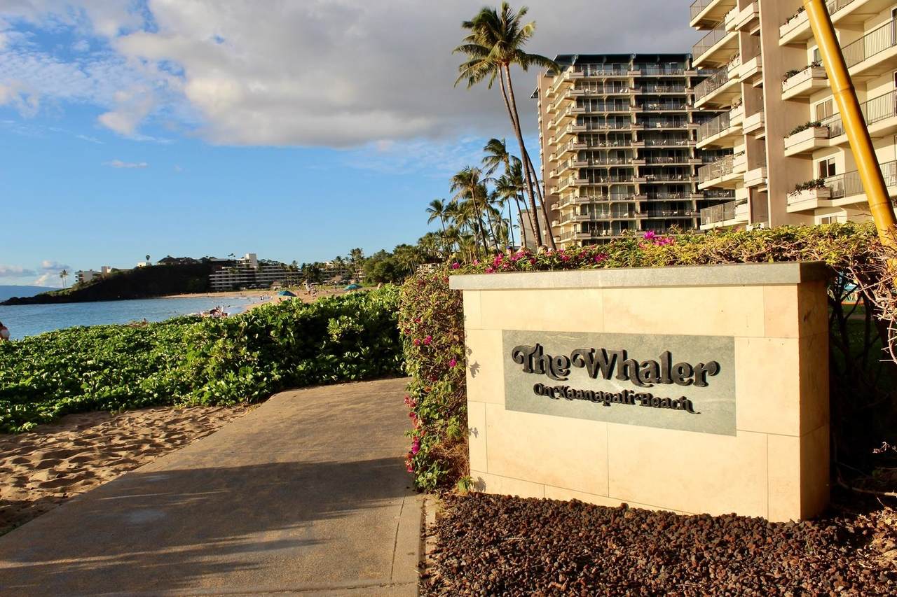 2481 Kaanapali Pkwy - Photo 1