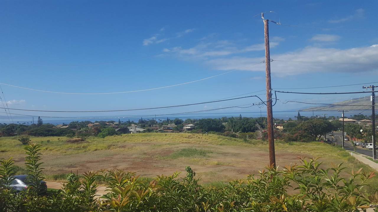 276 Moi Pl - Photo 1