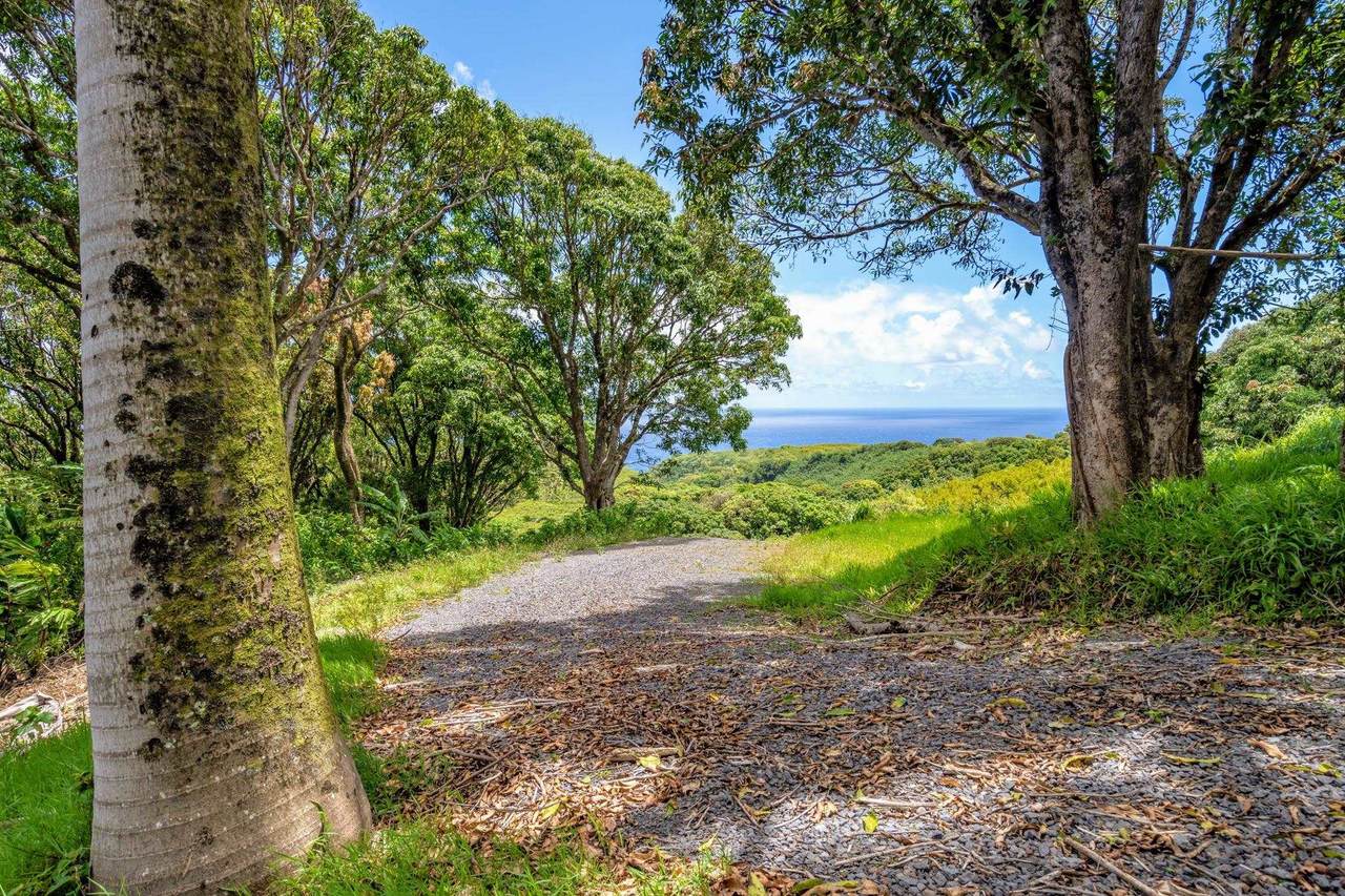 327 Hanauana Rd - Photo 1
