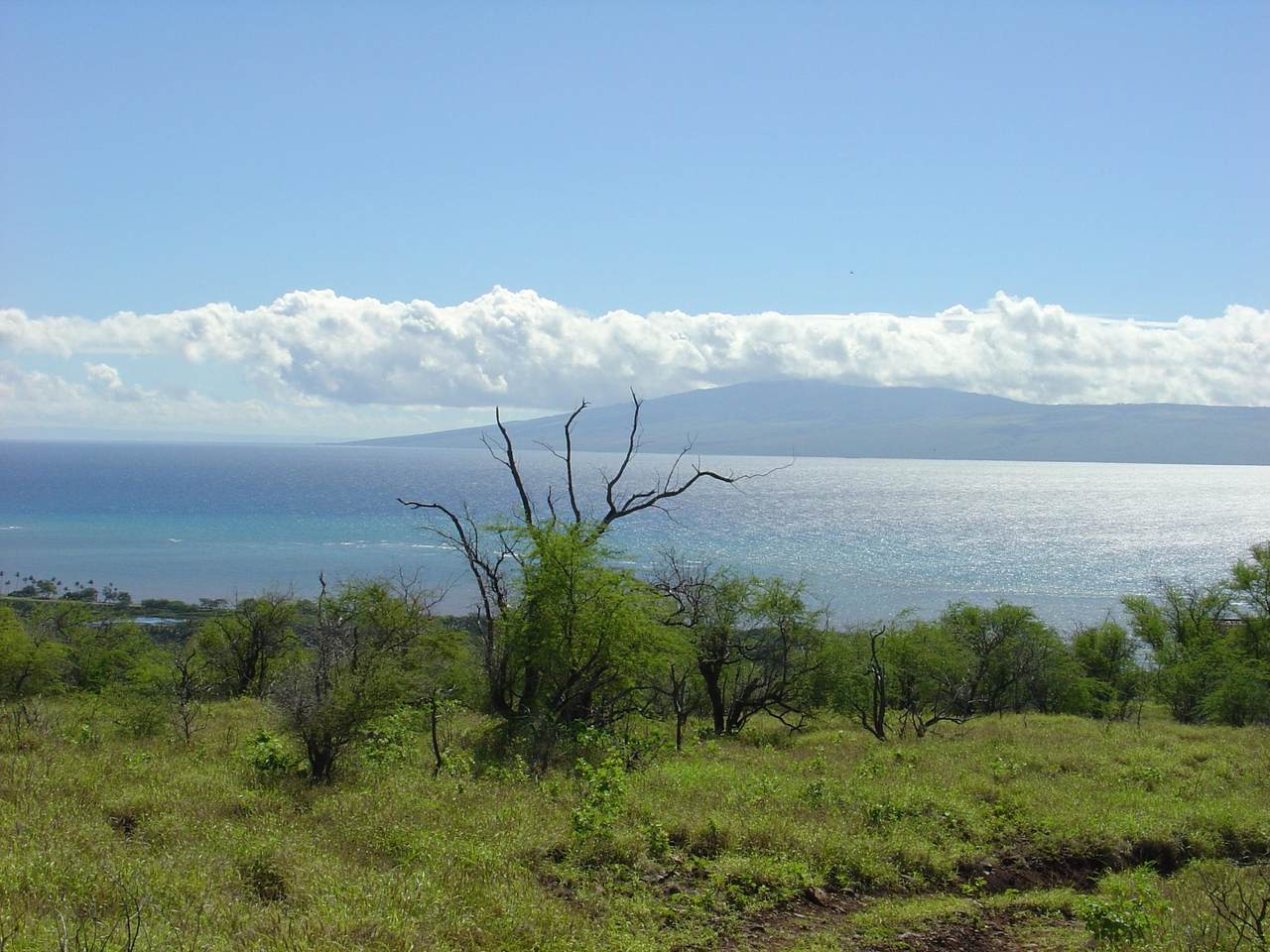 0 Ulua Rd - Photo 1