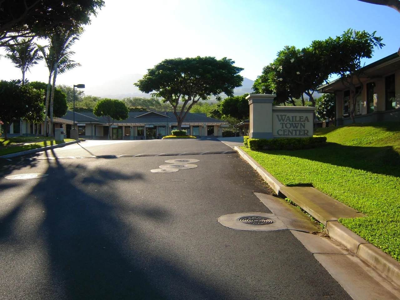 161 Wailea Ike Pl - Photo 1