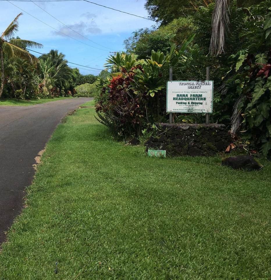 100 Ulaino Rd - Photo 1