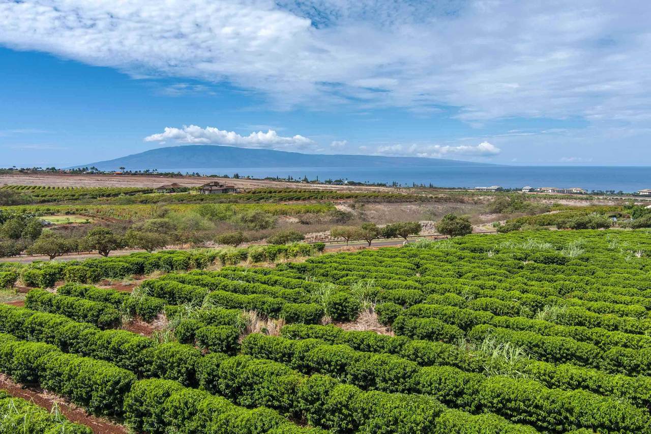 2751 Aina Mahi'ai St - Photo 1
