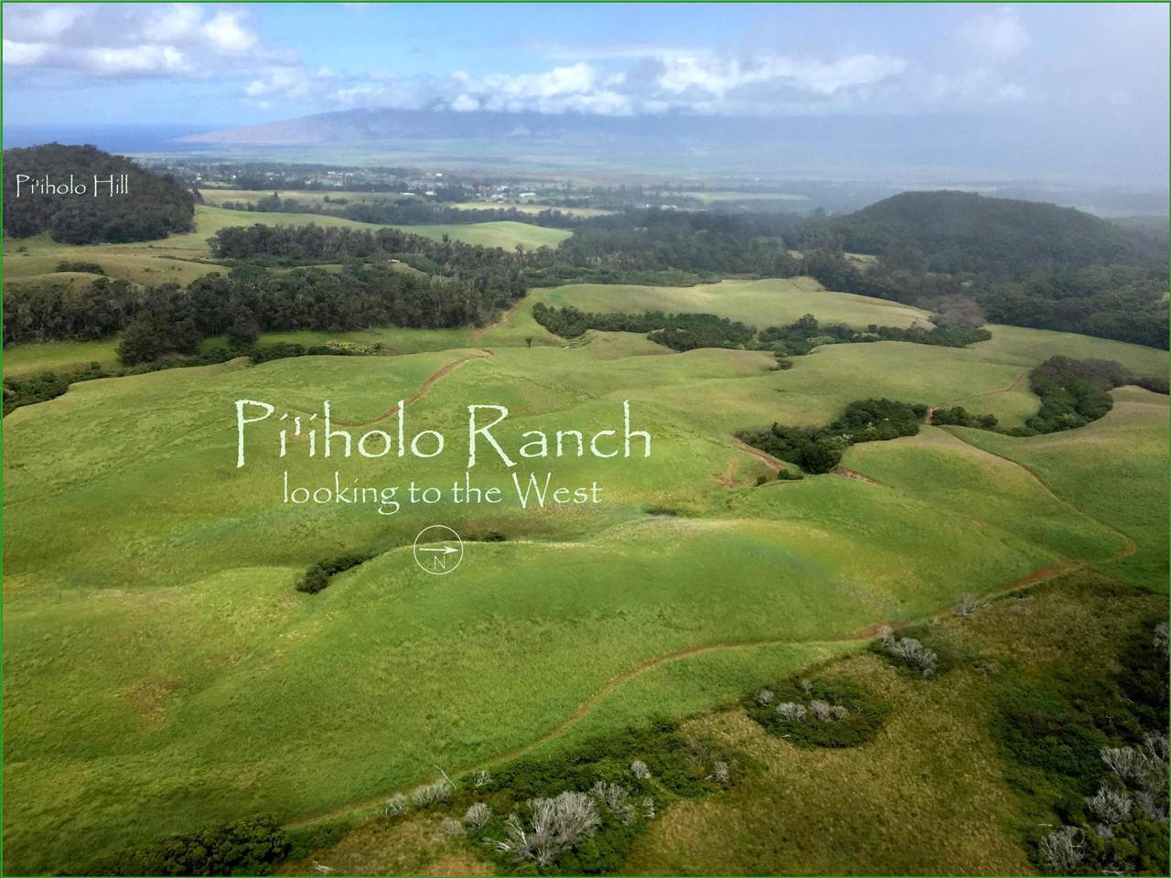 325 Waiahiwi Rd - Photo 1
