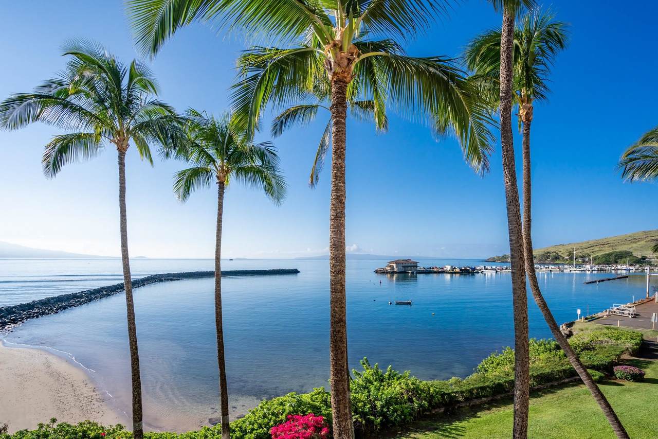 30 Hauoli St - Photo 1