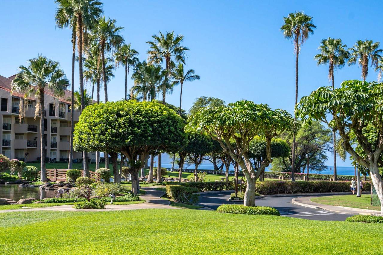 2695 Kihei Rd - Photo 1