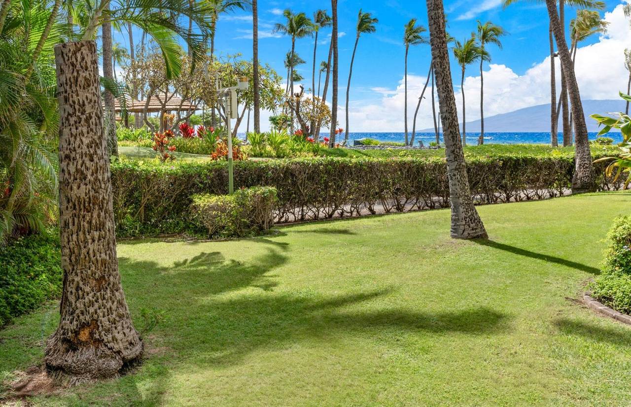 50 Nohea Kai Dr - Photo 1