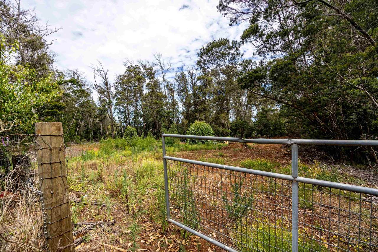 1939 B Piiholo Rd - Photo 1