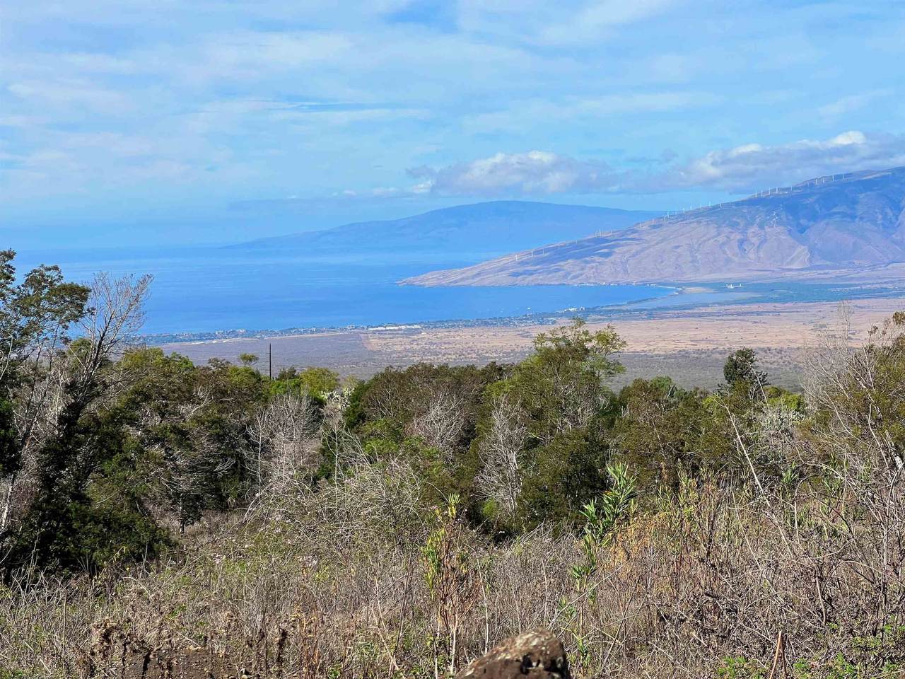 0 Kamehameiki Rd - Photo 1