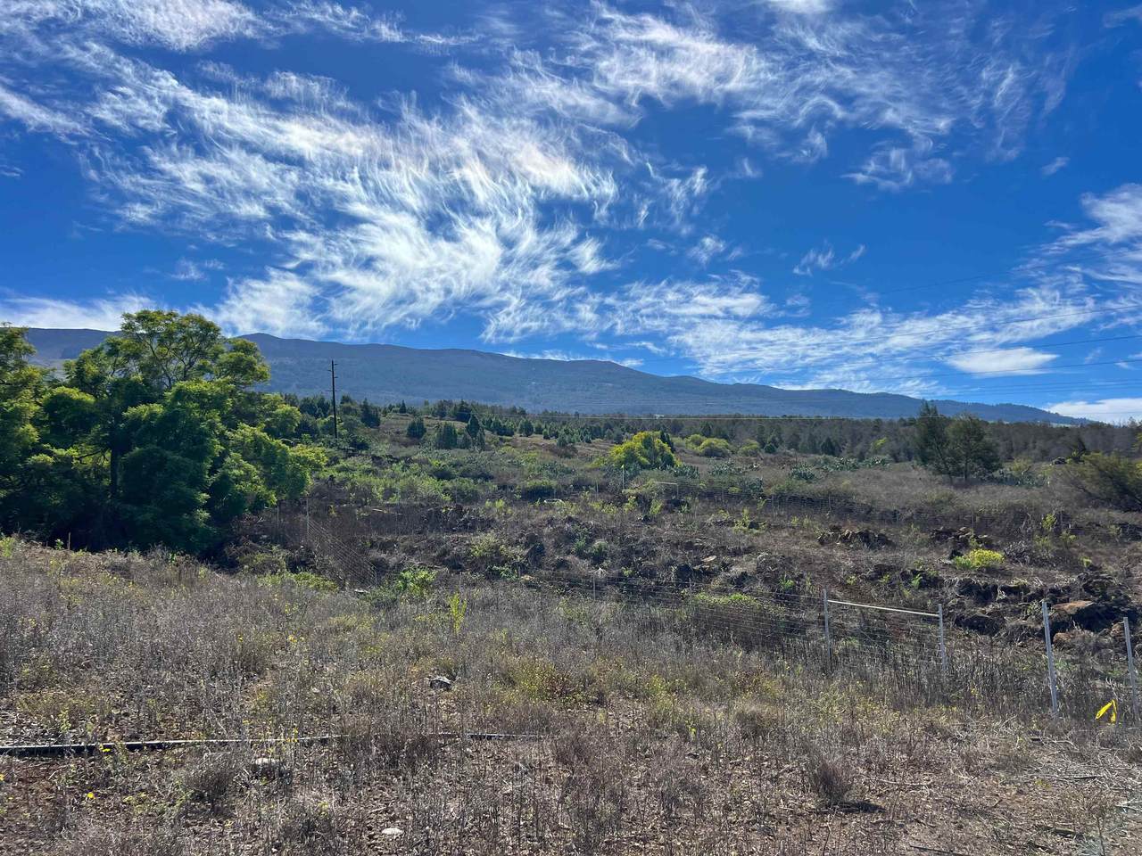https://bt-photos.global.ssl.fastly.net/maui/1280_boomver_1_404198-2.jpg