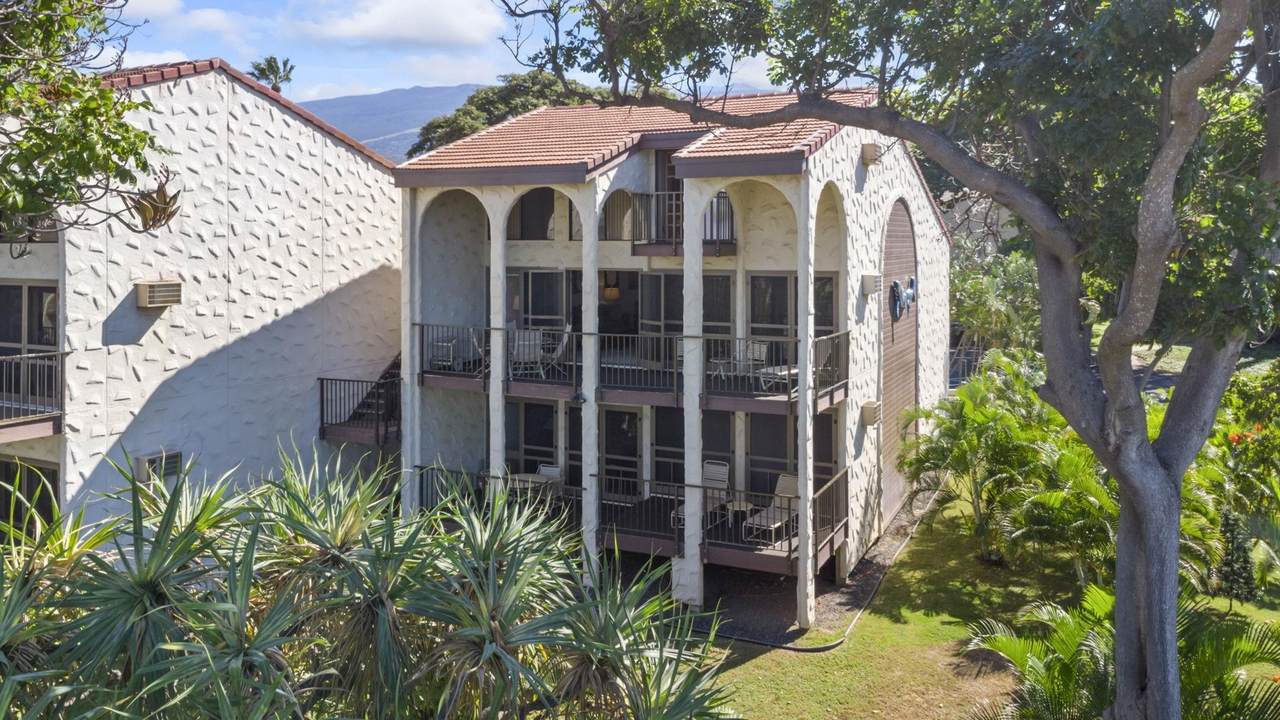 2881 Kihei Rd - Photo 1
