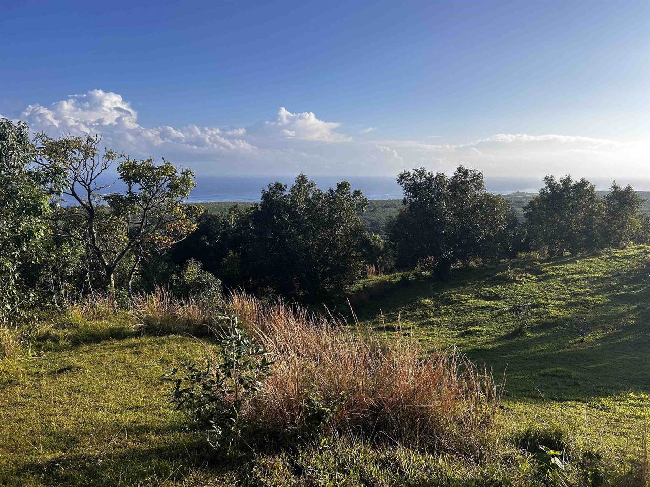 Lot F Hana Hwy - Photo 1