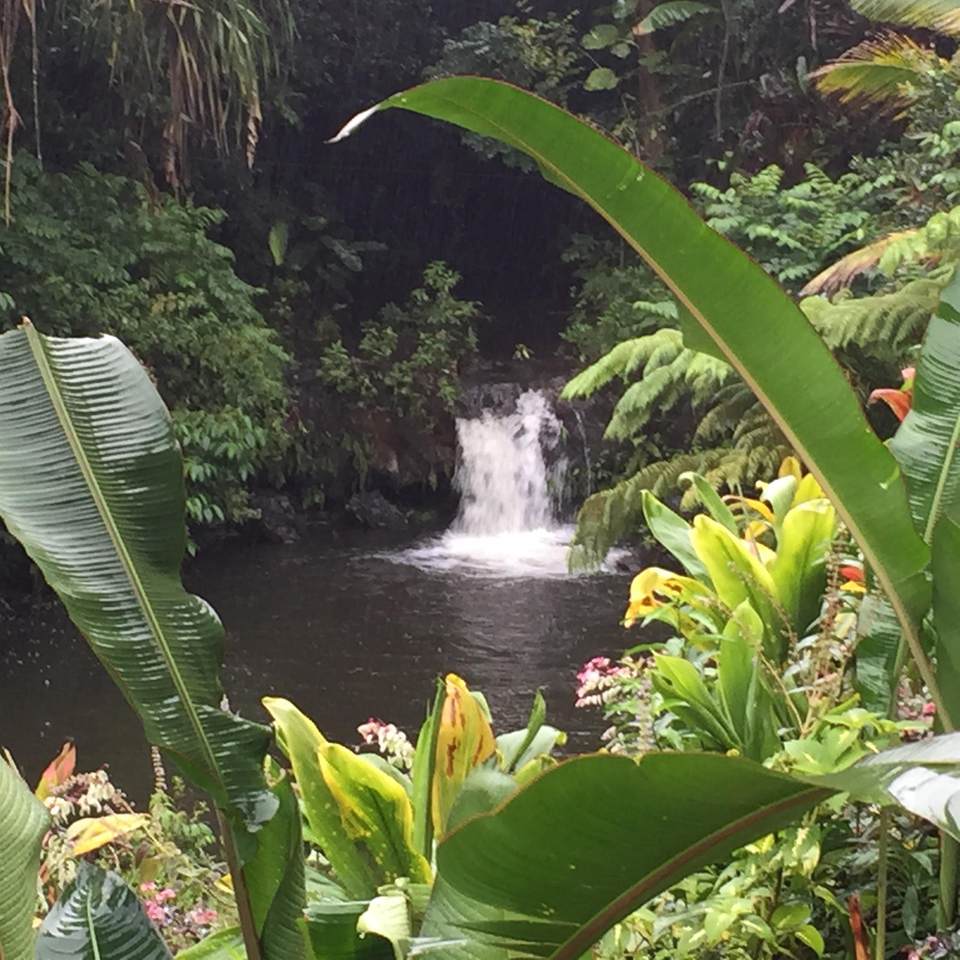 L. Nahiku Rd - Photo 1