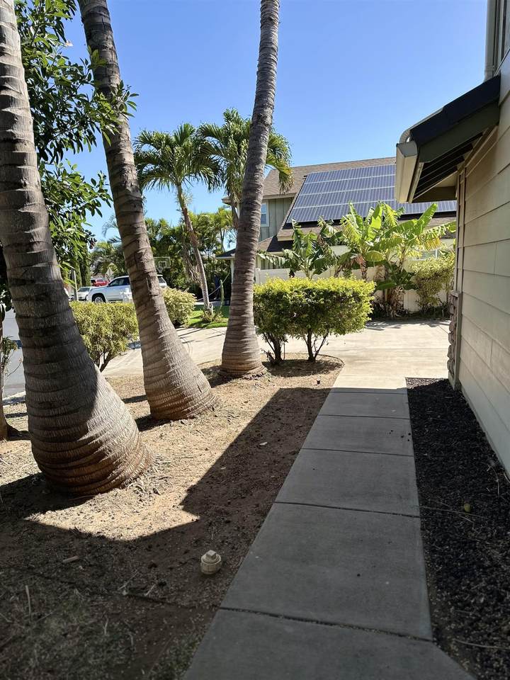 https://bt-photos.global.ssl.fastly.net/maui/1280_boomver_1_405609-2.jpg