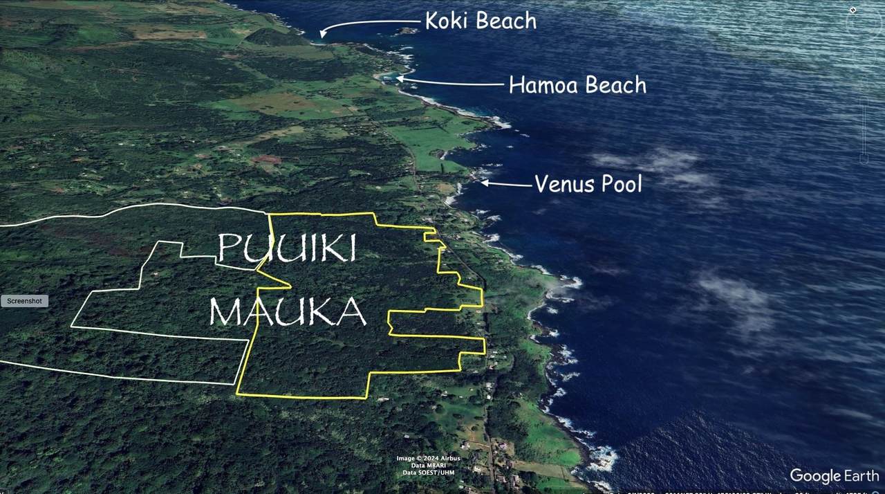 0 Hana Hwy - Photo 1