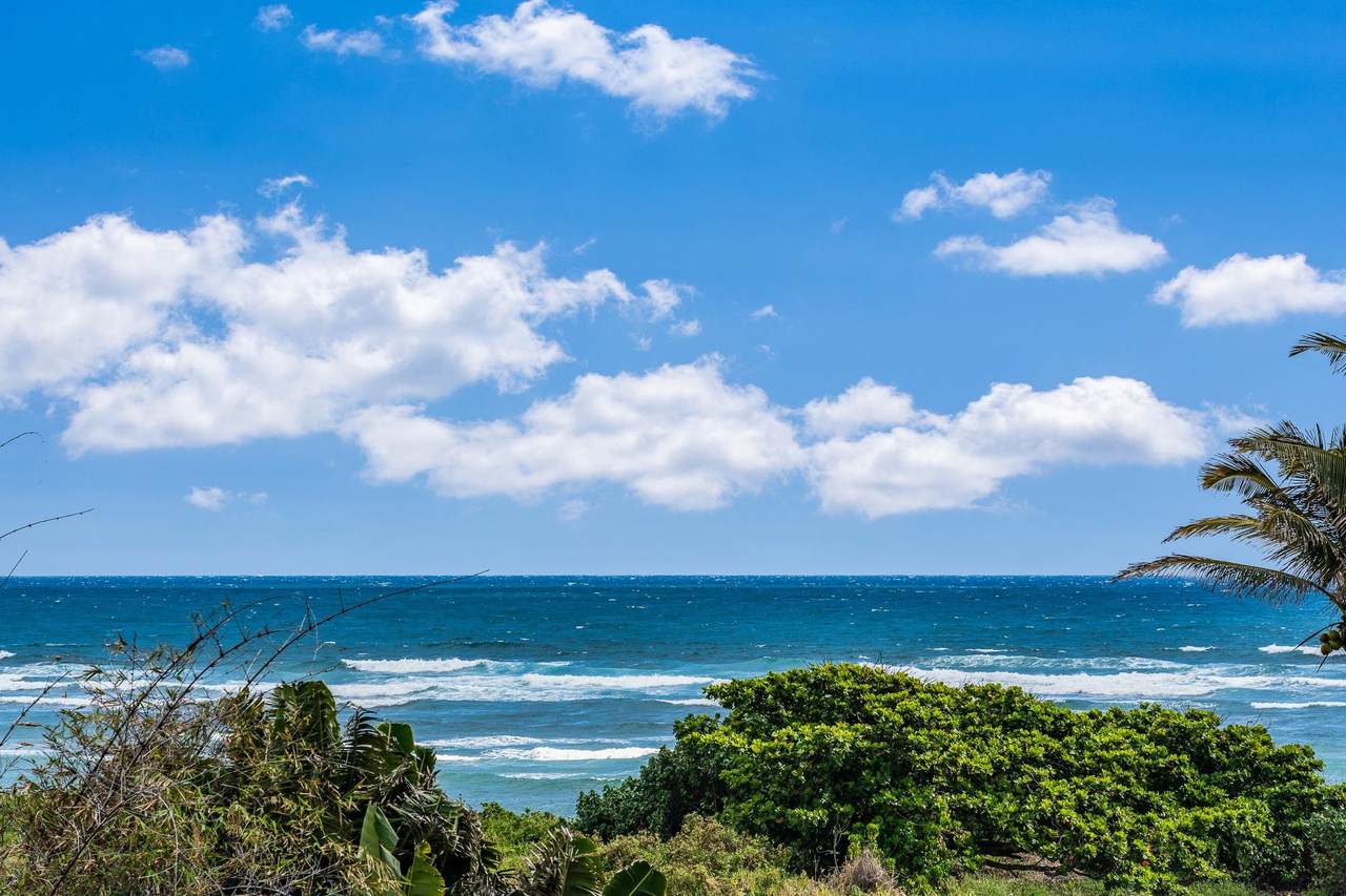 658 Waiehu Beach Rd - Photo 1