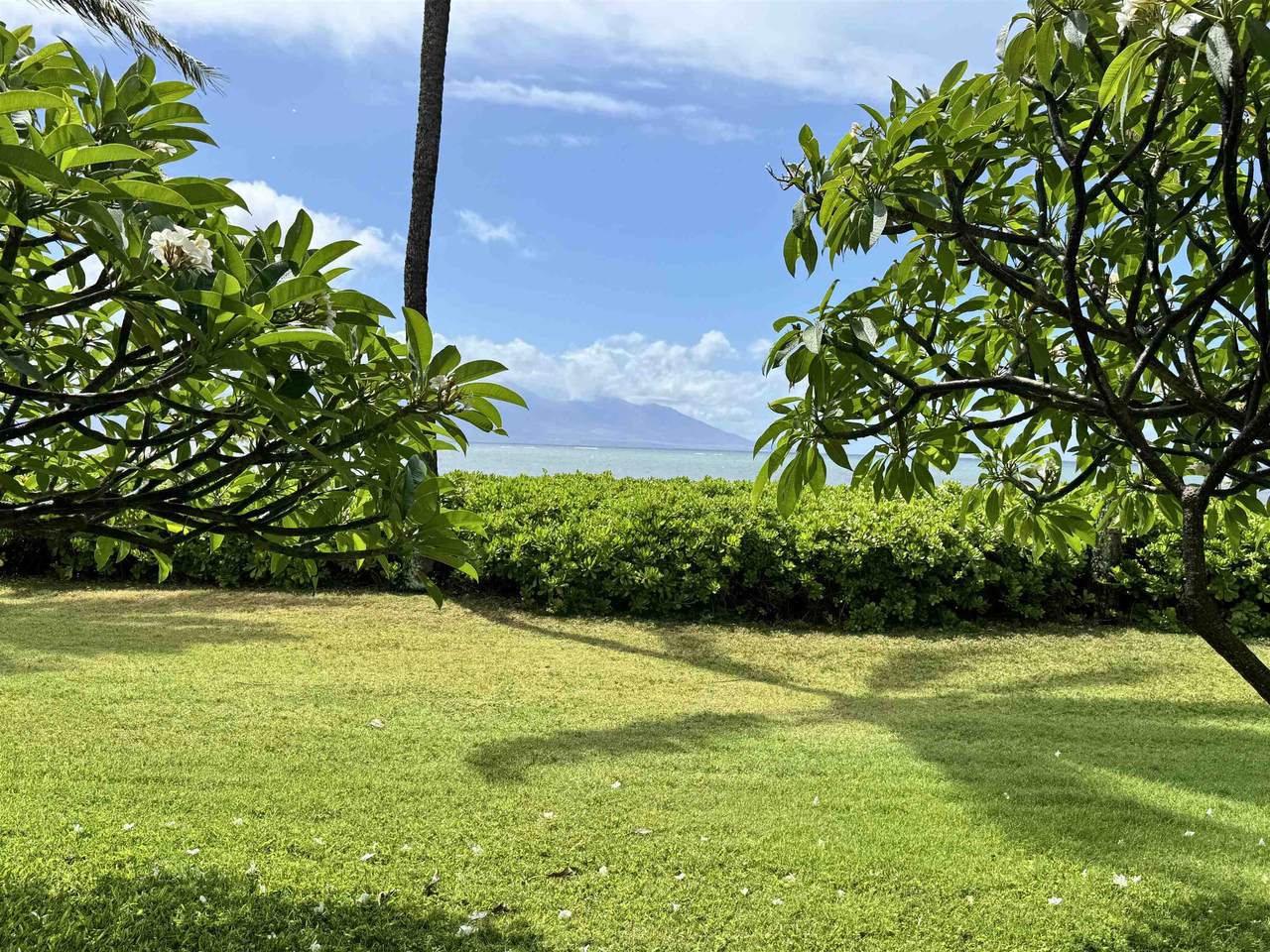 7142 Kamehameha V Hwy - Photo 1