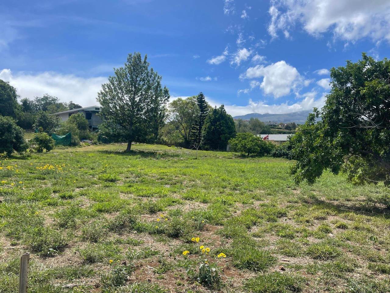 271 Makaena Pl - Photo 1