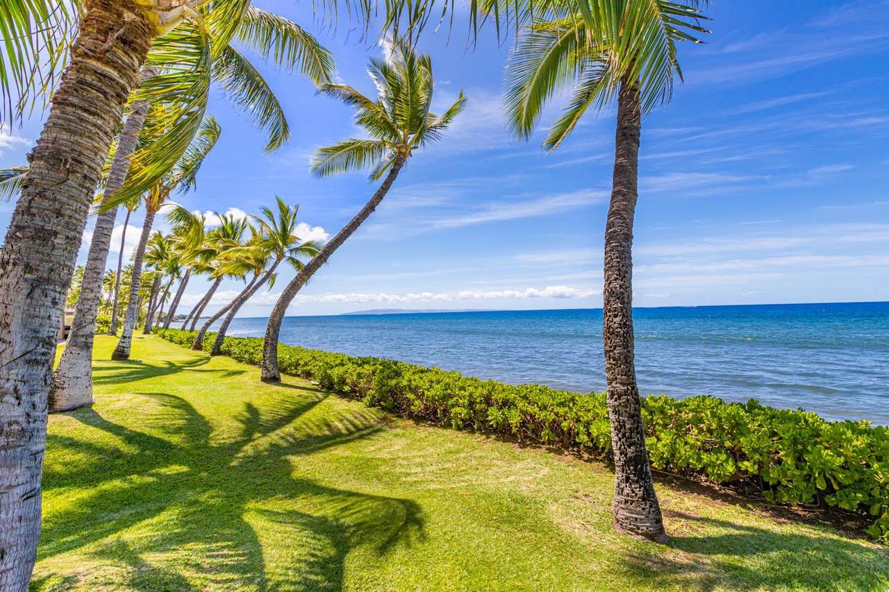 https://bt-photos.global.ssl.fastly.net/maui/1280_boomver_1_405975-2.jpg