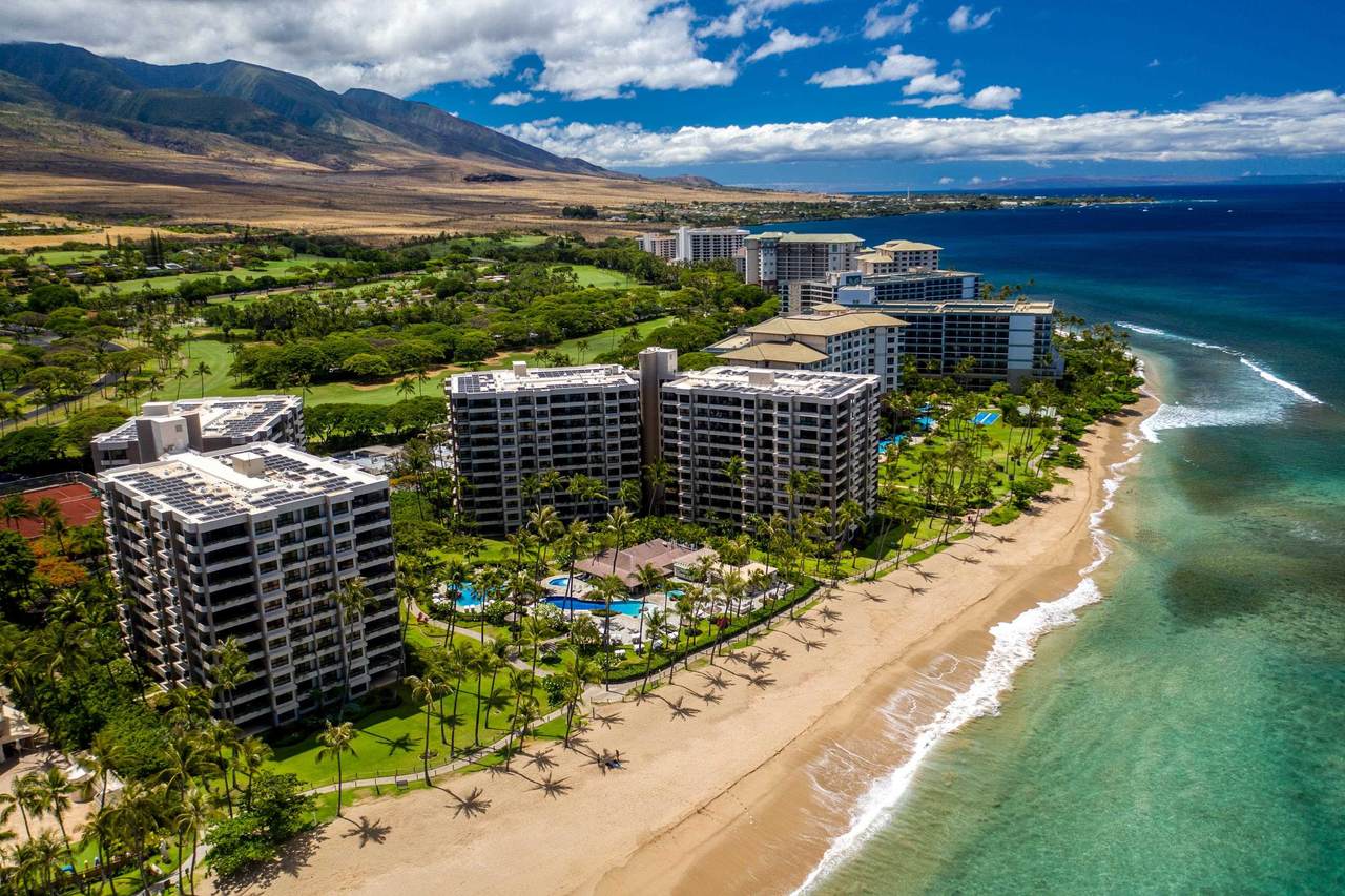 50 Nohea Kai Dr - Photo 1