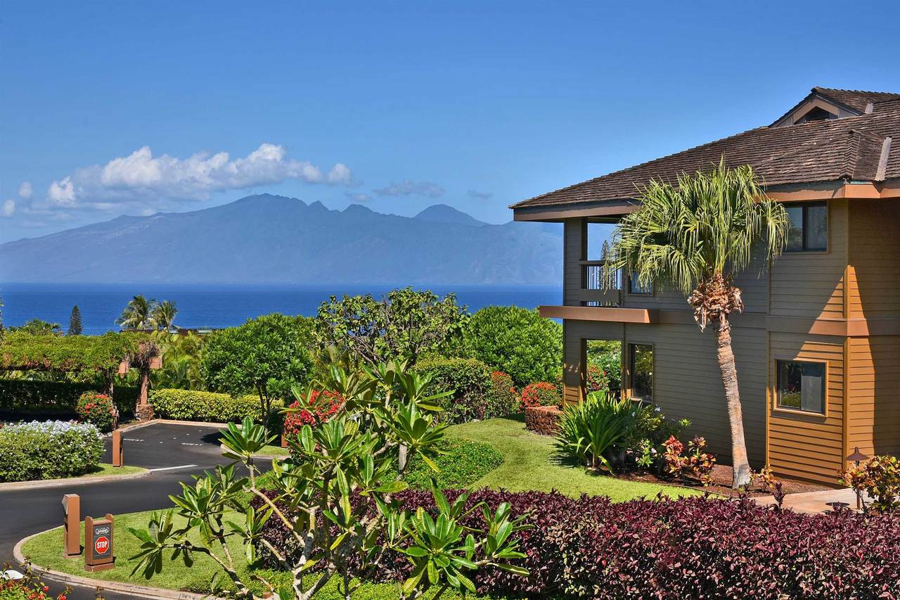 50 Puu Anoano St - Photo 1