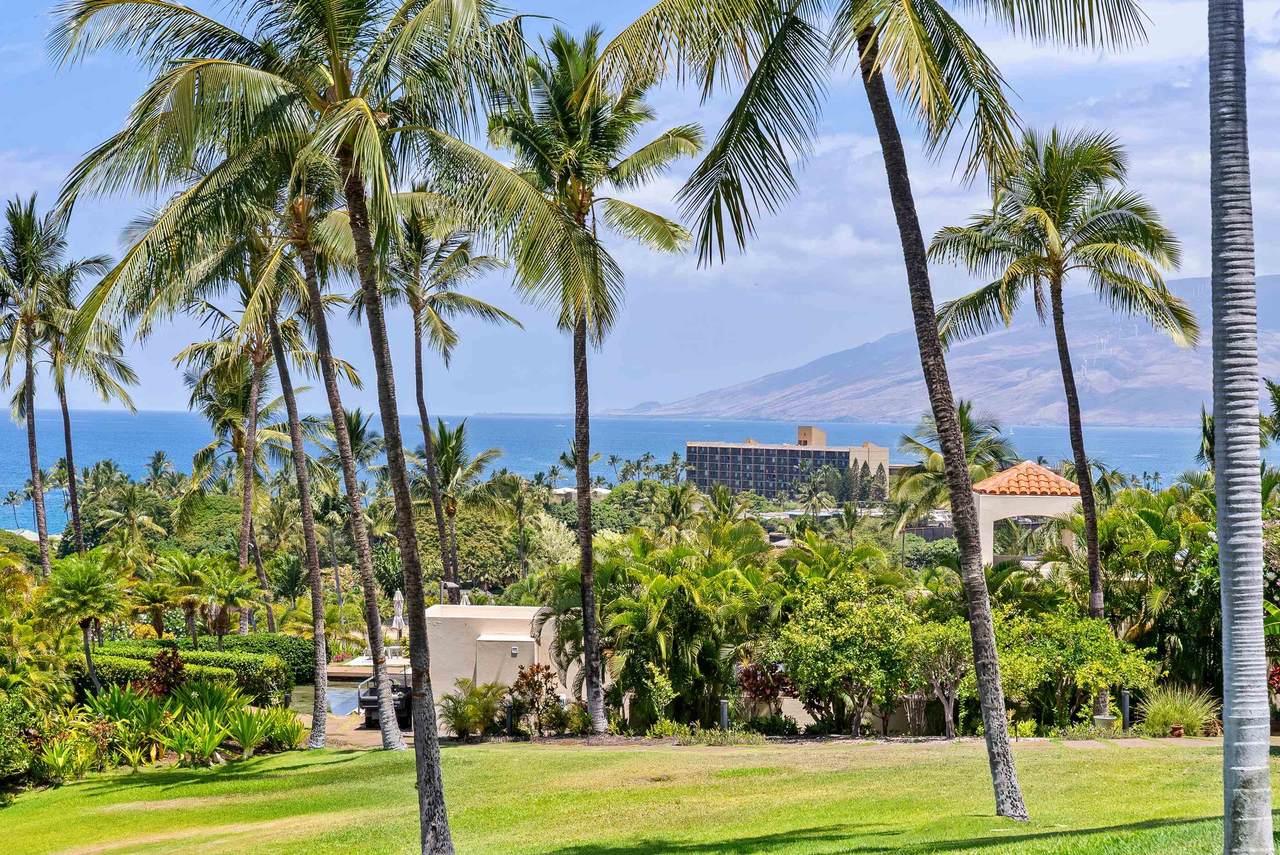 3150 Wailea Alanui Dr - Photo 1