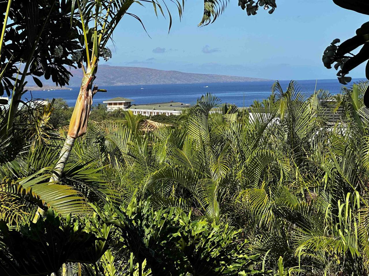 10 Wailea Ekolu Pl - Photo 1
