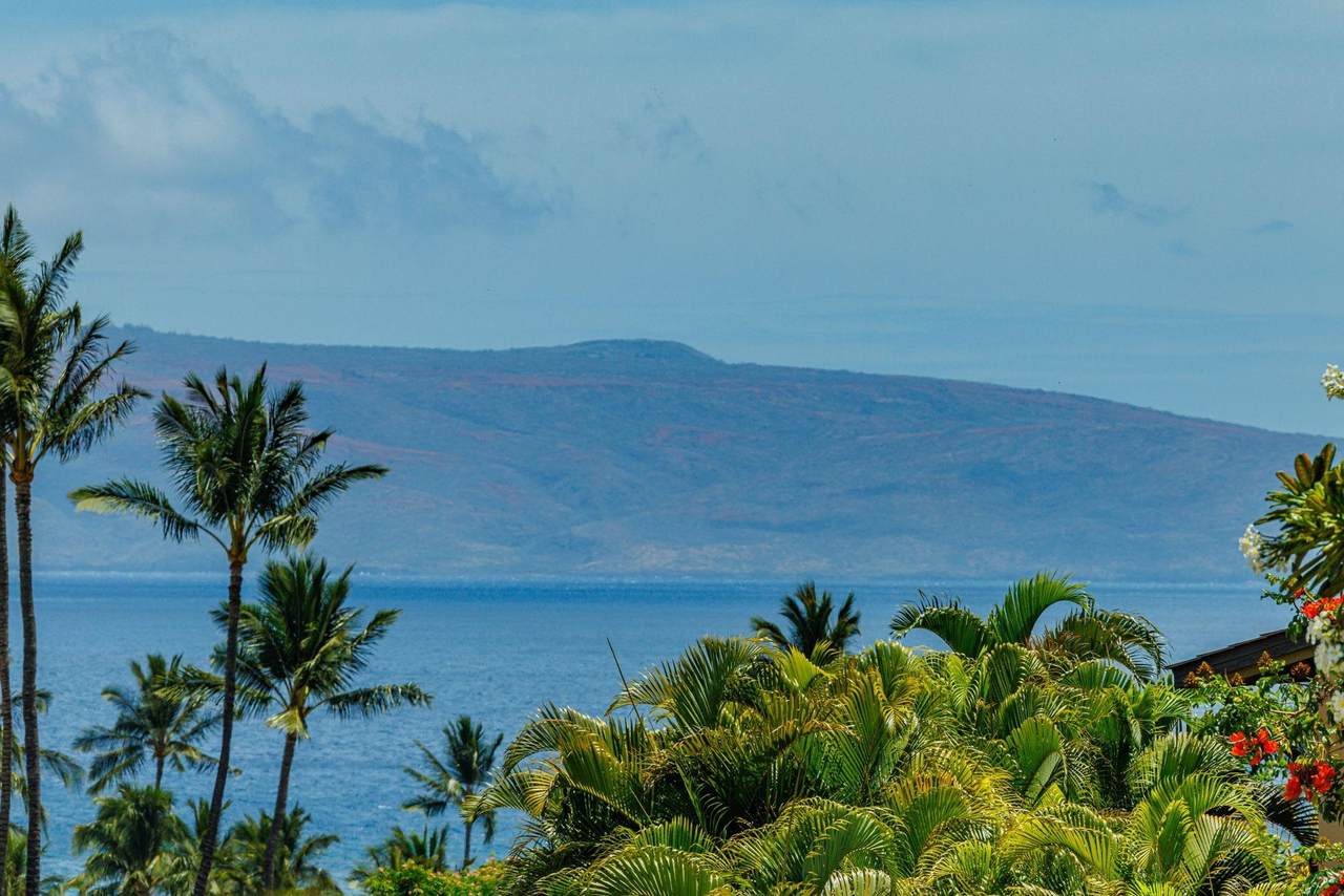 3300 Wailea Alanui Dr - Photo 1