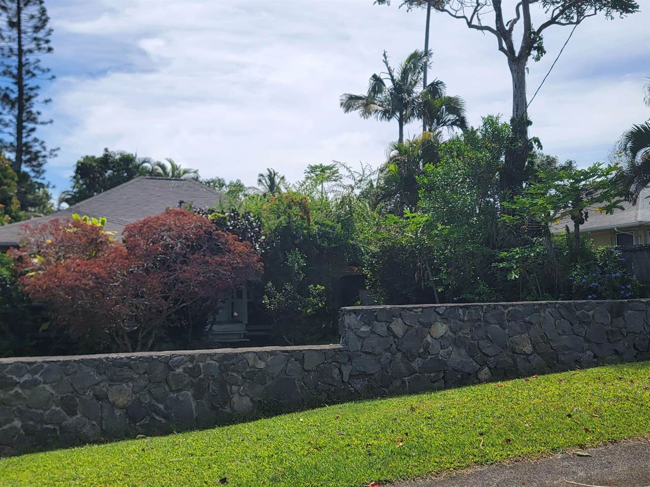 3237 Luahine Pl - Photo 1