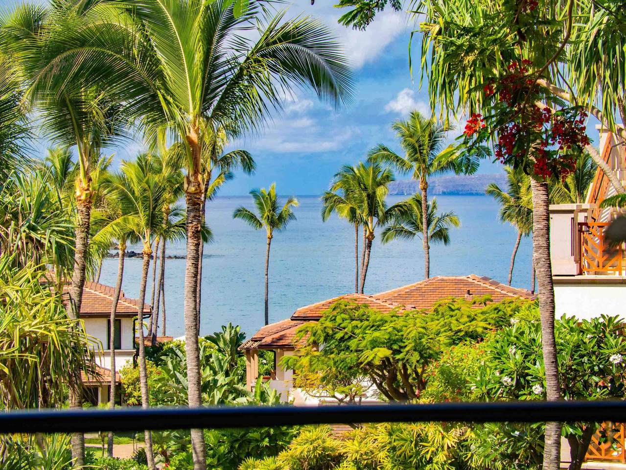 3800 Wailea Alanui St - Photo 1