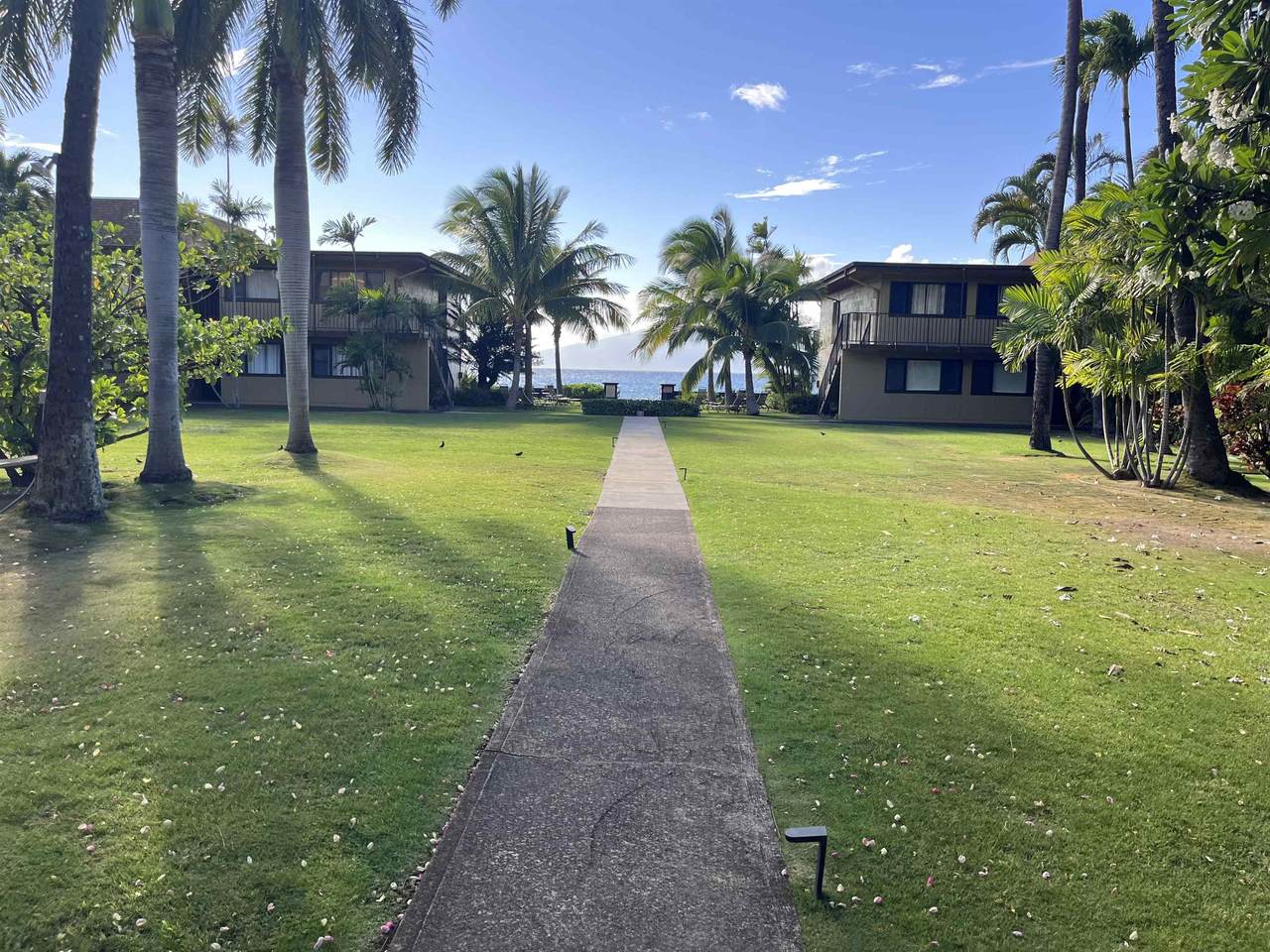 3559 Lower Honoapiilani Rd - Photo 1