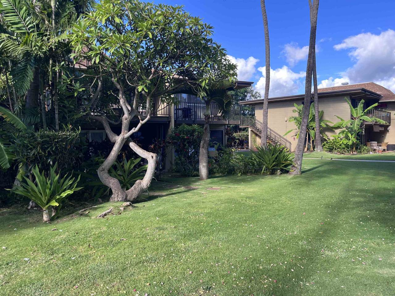 https://bt-photos.global.ssl.fastly.net/maui/1280_boomver_1_406561-2.jpg